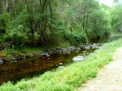 Paseo y Baño por el Valle y Río Tiétar;puente de pilar berrea monfrague viajes organizados a madr